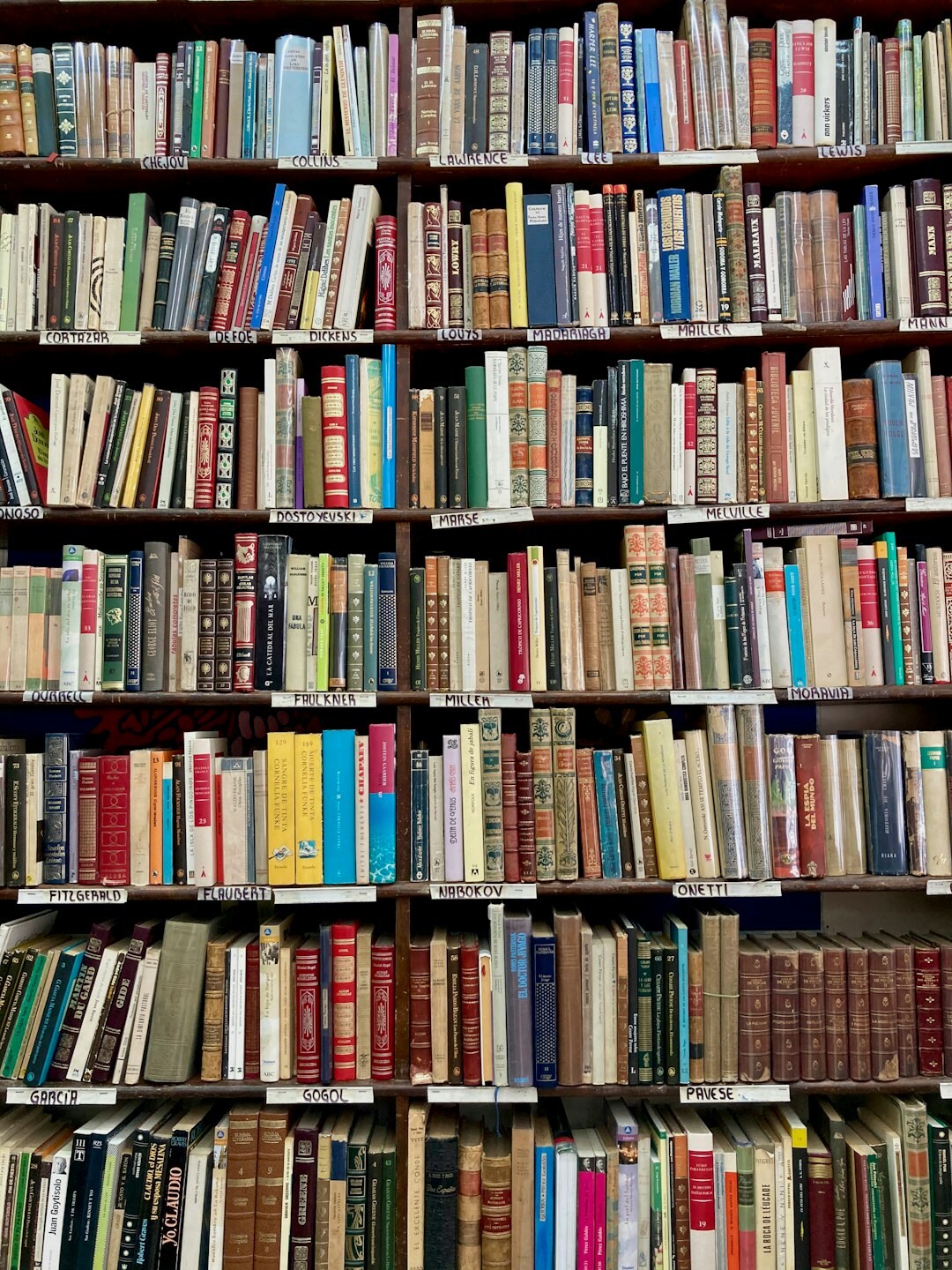 Tall wooden library shelves filled with old books